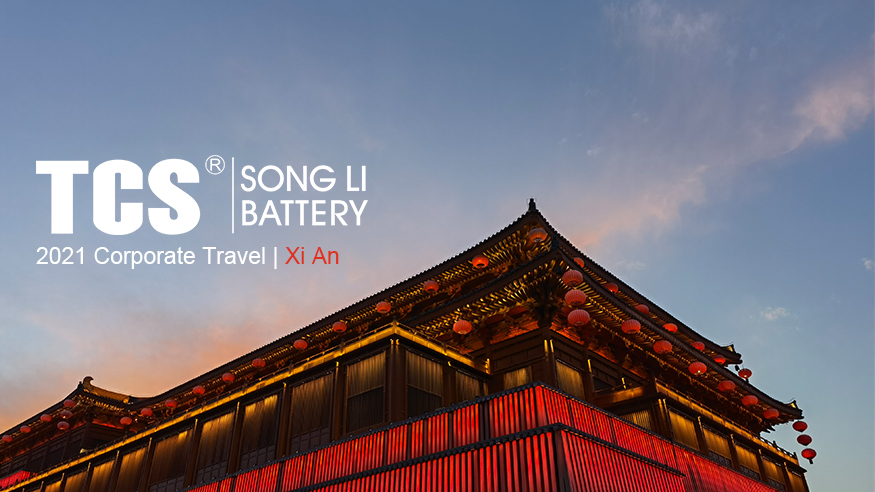 TCS尊龙凯时人生就是博电池2021年度公司旅游 一朝游西安，一日阅千年